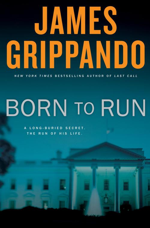 Cover of the book Born to Run by James Grippando, HarperCollins e-books