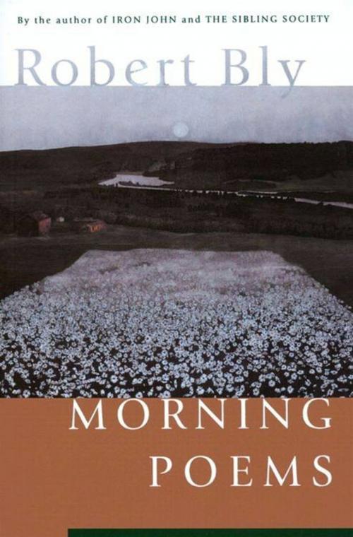 Cover of the book Morning Poems by Robert Bly, HarperCollins e-books