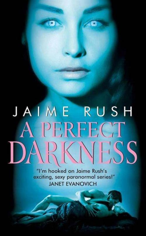 Cover of the book A Perfect Darkness by Jaime Rush, HarperCollins e-books