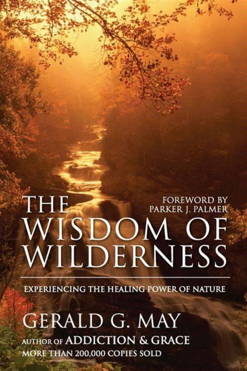 Cover of the book The Wisdom of Wilderness by Gerald G. May, HarperOne
