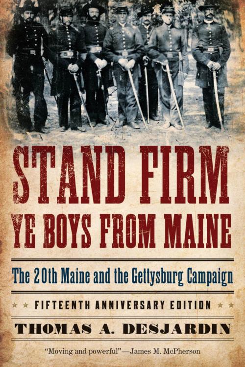 Cover of the book Stand Firm Ye Boys from Maine by Thomas A. Desjardin, Oxford University Press