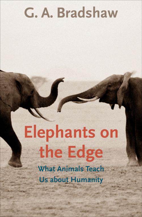 Cover of the book Elephants on the Edge by G. A. Bradshaw, Yale University Press (Ignition)