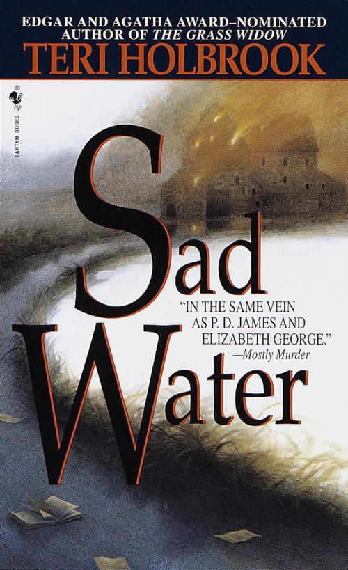 Cover of the book Sad Water by Teri Holbrook, Random House Publishing Group
