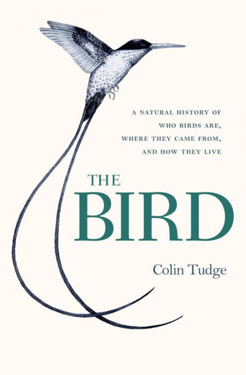Cover of the book The Bird by Colin Tudge, Crown/Archetype