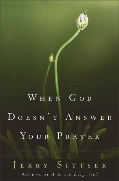 Cover of the book When God Doesn't Answer Your Prayer by Jerry L. Sittser, Zondervan