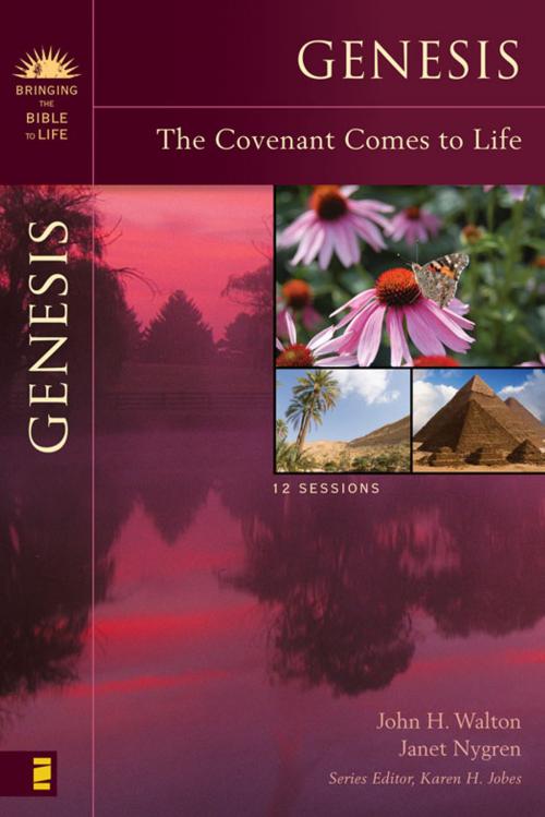 Cover of the book Genesis by John H. Walton, Janet Nygren, Karen H. Jobes, Zondervan