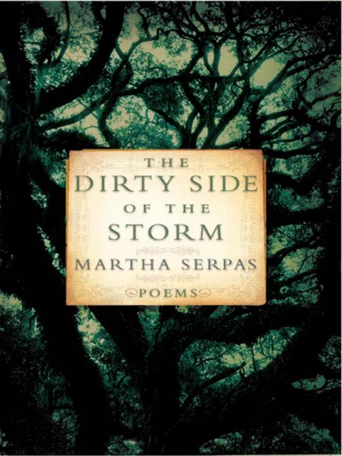 Cover of the book The Dirty Side of the Storm: Poems by Martha Serpas, W. W. Norton & Company