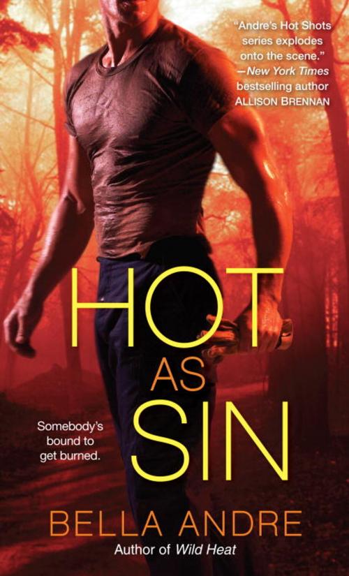 Cover of the book Hot as Sin by Bella Andre, Random House Publishing Group
