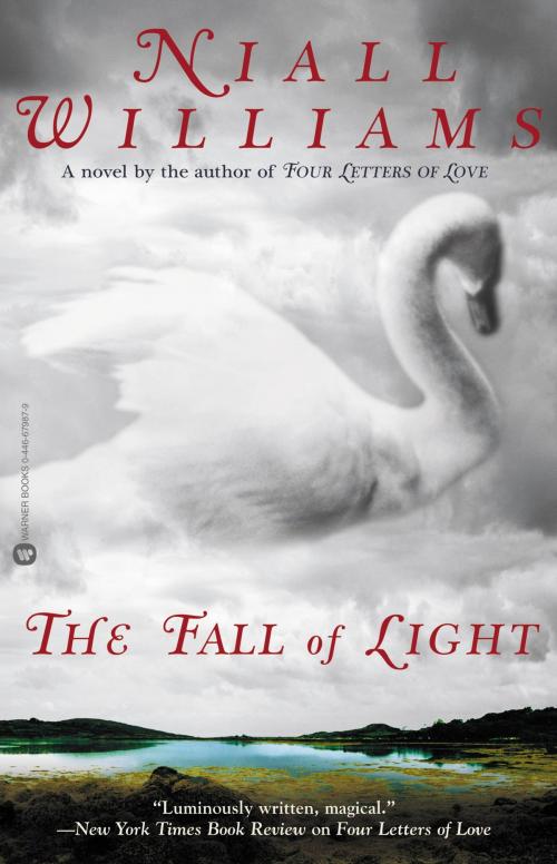Cover of the book The Fall of Light by Niall Williams, Grand Central Publishing