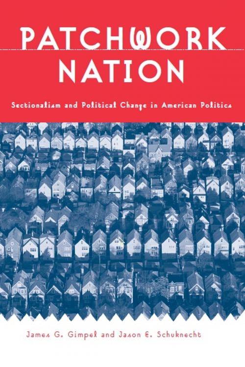 Cover of the book Patchwork Nation by Jason E. Schuknecht, James Graydon Gimpel, University of Michigan Press
