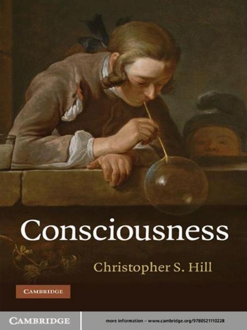 Cover of the book Consciousness by Christopher S. Hill, Cambridge University Press