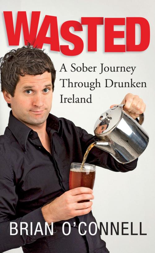 Cover of the book Wasted: Sober in Ireland by Brian O'Connell, Gill Books