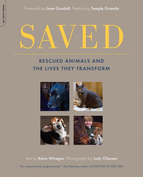 Cover of the book Saved by Karin Winegar, Hachette Books