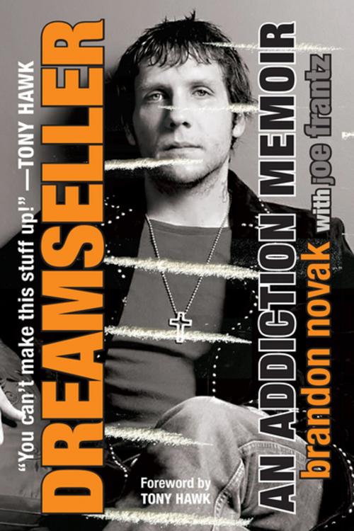 Cover of the book Dreamseller by Brandon Novak, Citadel Press
