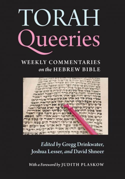 Cover of the book Torah Queeries by , NYU Press