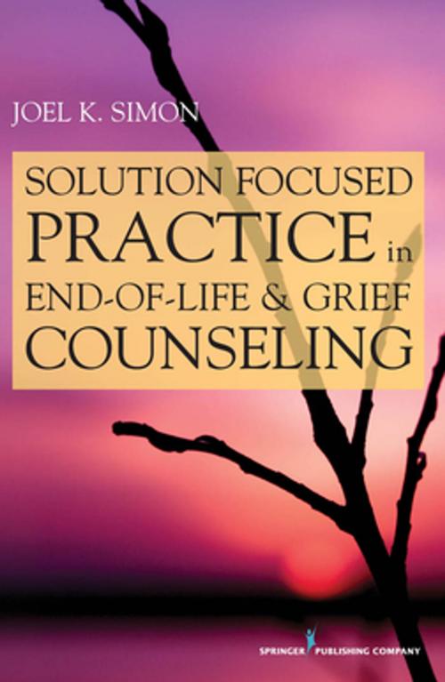 Cover of the book Solution Focused Practice in End-of-Life and Grief Counseling by Joel Simon, MSW, ACSW, BCD, Springer Publishing Company