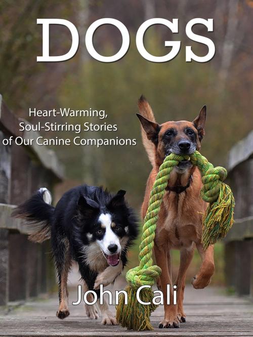 Cover of the book Dogs: Heart-Warming, Soul-Stirring Stories of our Canine Companions by John Cali, John Cali