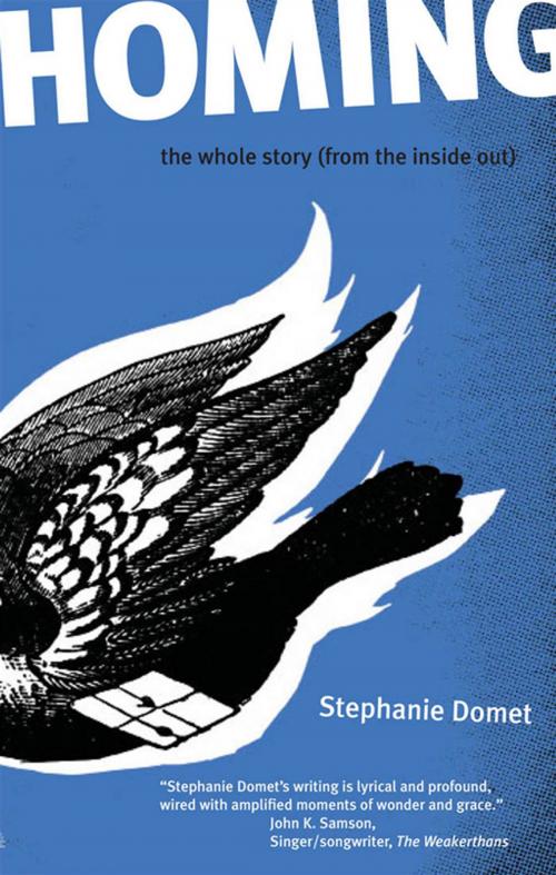 Cover of the book Homing: the whole story (from the inside out) by Stephanie Domet, Invisible Publishing