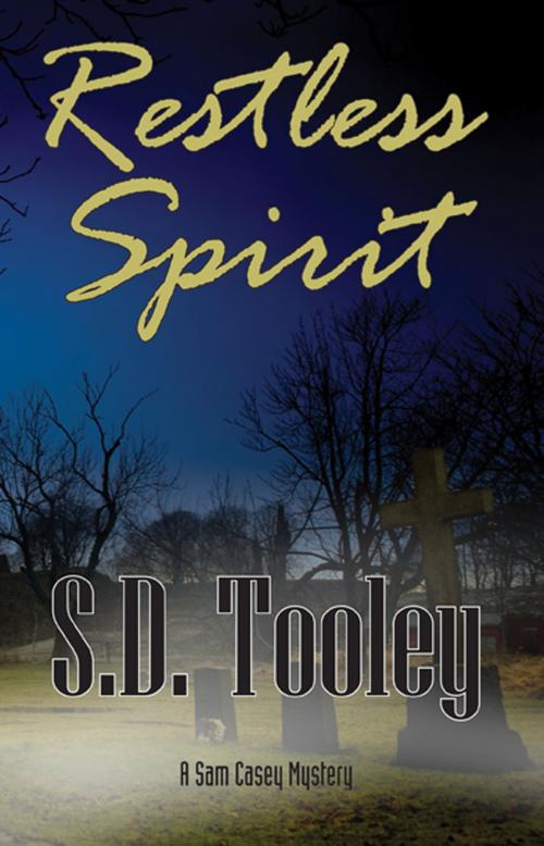 Cover of the book Restless Spirit by S.D. Tooley, Full Moon Publishing LLC