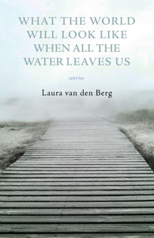 Cover of the book What the World Will Look Like When All the Water Leaves Us by Laura van den Berg, Dzanc Books