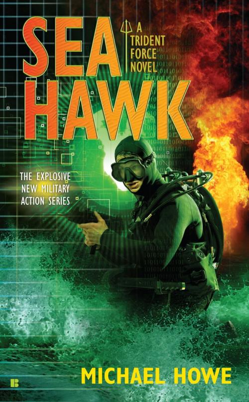 Cover of the book Sea Hawk by Michael Howe, Penguin Publishing Group