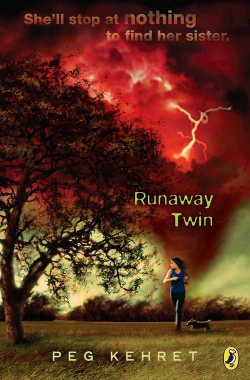 Cover of the book Runaway Twin by Peg Kehret, Penguin Young Readers Group