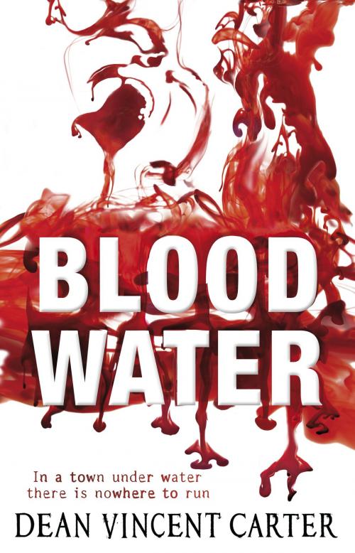 Cover of the book Blood Water by Dean Vincent Carter, RHCP