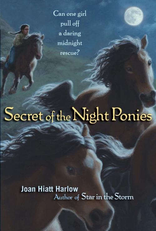 Cover of the book Secret of the Night Ponies by Joan Hiatt Harlow, Margaret K. McElderry Books