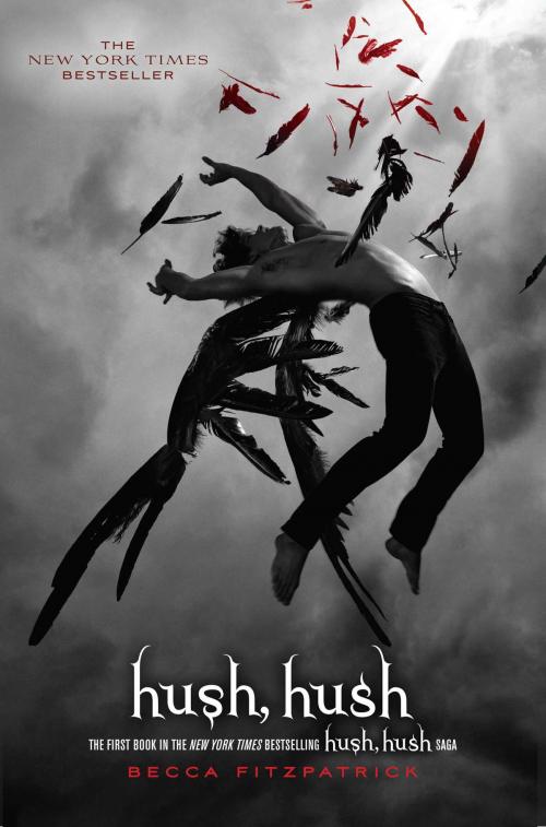 Cover of the book Hush, Hush by Becca Fitzpatrick, Simon & Schuster Books for Young Readers