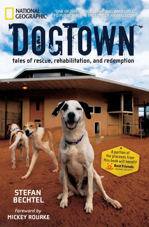 Cover of the book DogTown by Stefan Bechtel, National Geographic Society