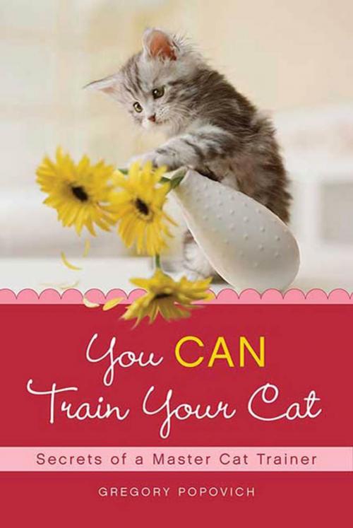 Cover of the book You CAN Train Your Cat by Gregory Popovich, St. Martin's Press