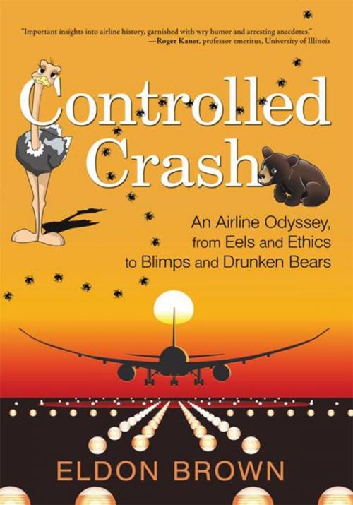 Cover of the book Controlled Crash by Eldon Brown, iUniverse