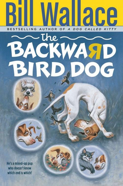 Cover of the book The Backward Bird Dog by Bill Wallace, Aladdin