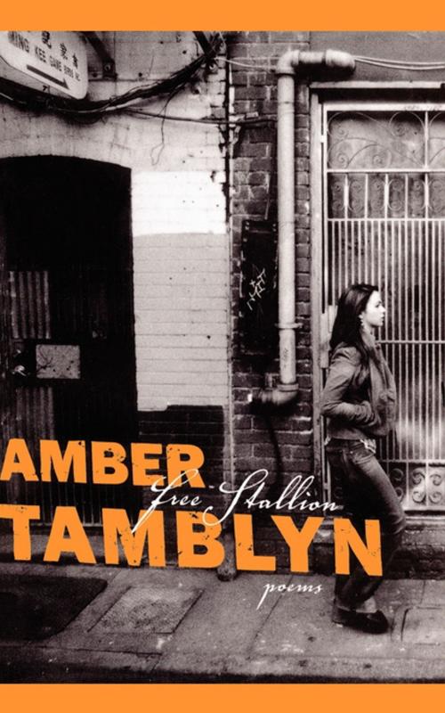 Cover of the book Free Stallion by Amber Tamblyn, Simon & Schuster Books for Young Readers