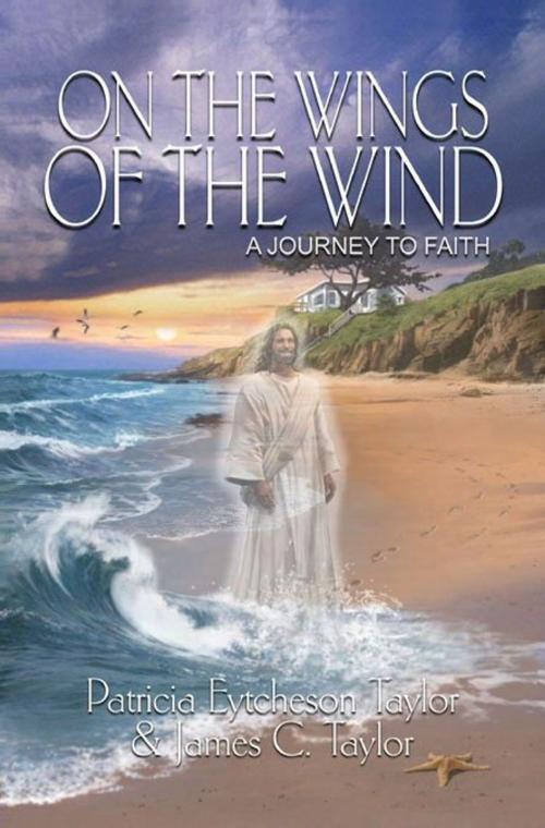 Cover of the book On the Wings of the Wind: A Journey to Faith by Patricia Eytcheson Taylor, Patricia Eytcheson Taylor