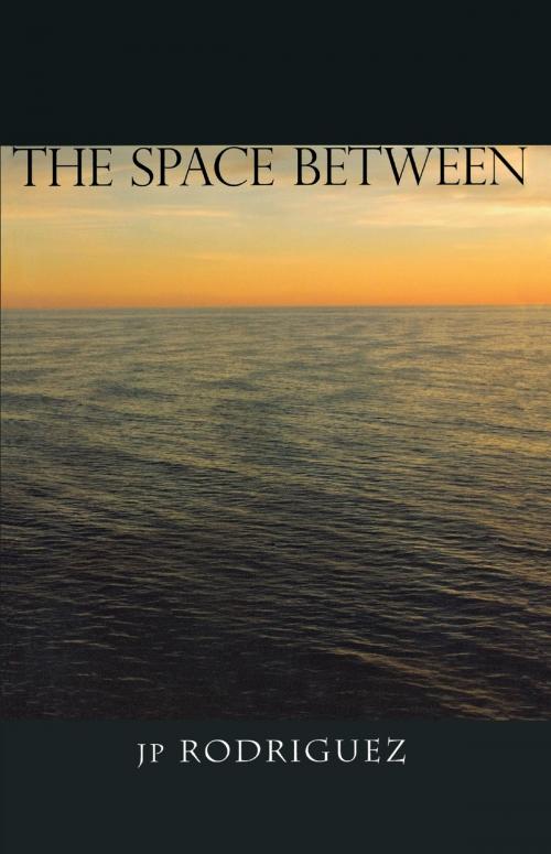 Cover of the book The Space Between by JP Rodriguez, Dundurn