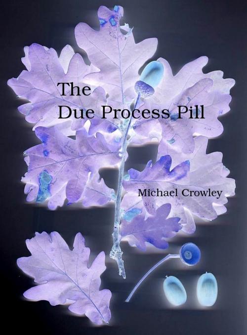 Cover of the book The Due Process Pill by Michael Crowley, Michael Crowley