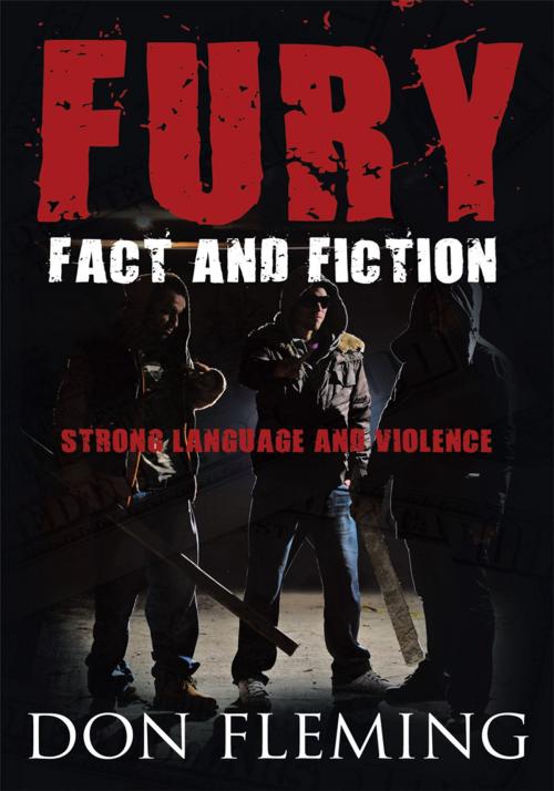 Cover of the book Fury by Don Fleming, AuthorHouse UK