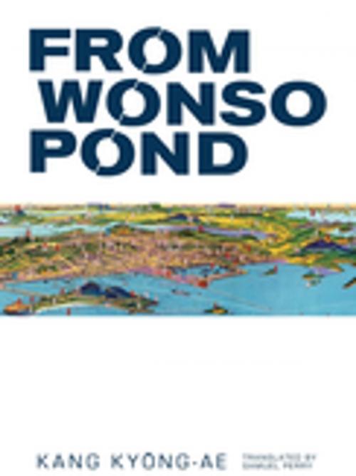 Cover of the book From Wonso Pond by Kang Kyong-ae, The Feminist Press at CUNY