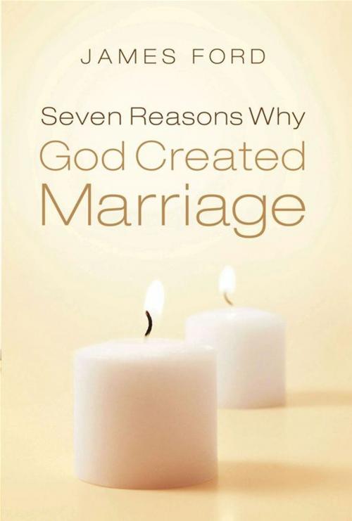 Cover of the book Seven Reasons Why God Created Marriage by James Ford, Moody Publishers