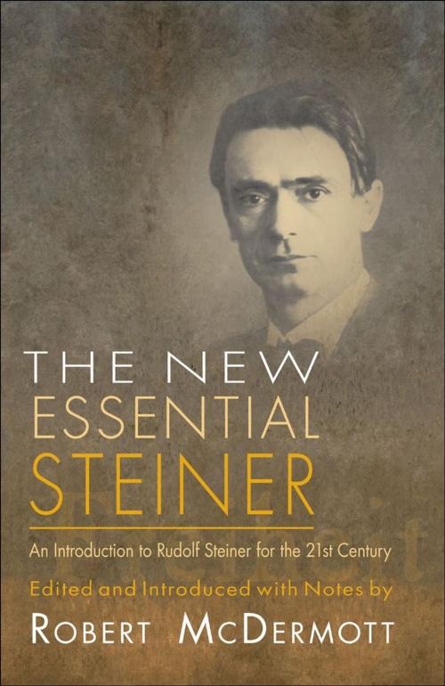 Cover of the book New Essential Steiner by Rudolf Steiner; Robert McDermott, SteinerBooks