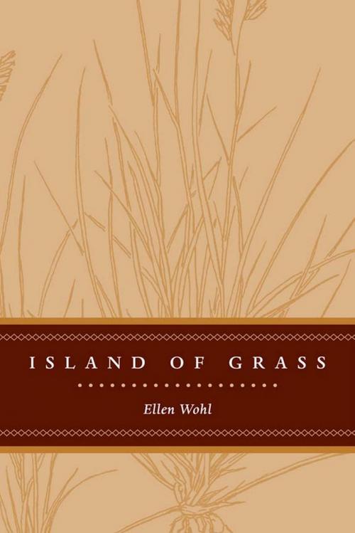 Cover of the book Island of Grass by Ellen E. Wohl, University Press of Colorado