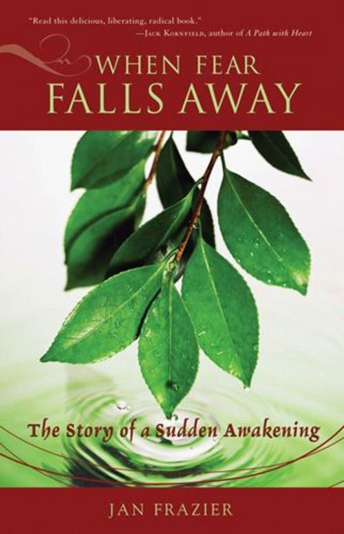 Cover of the book When Fear Falls Away: The Story Of A Sudden Awakening by Jan Frazier, Red Wheel Weiser