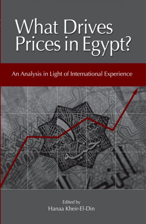 Cover of the book What Drives Prices in Egypt? by , The American University in Cairo Press