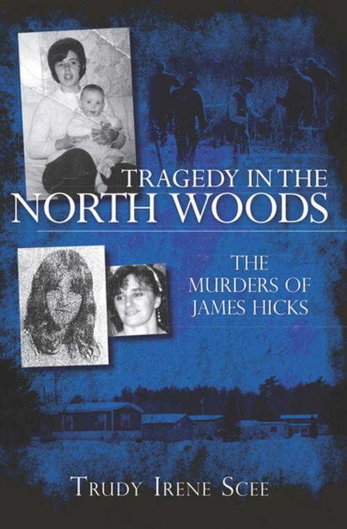 Cover of the book Tragedy in the North Woods by Trudy Irene Scee, Arcadia Publishing