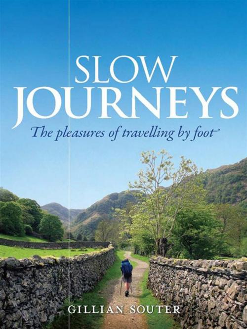 Cover of the book Slow Journeys by Gillian Souter, Allen & Unwin