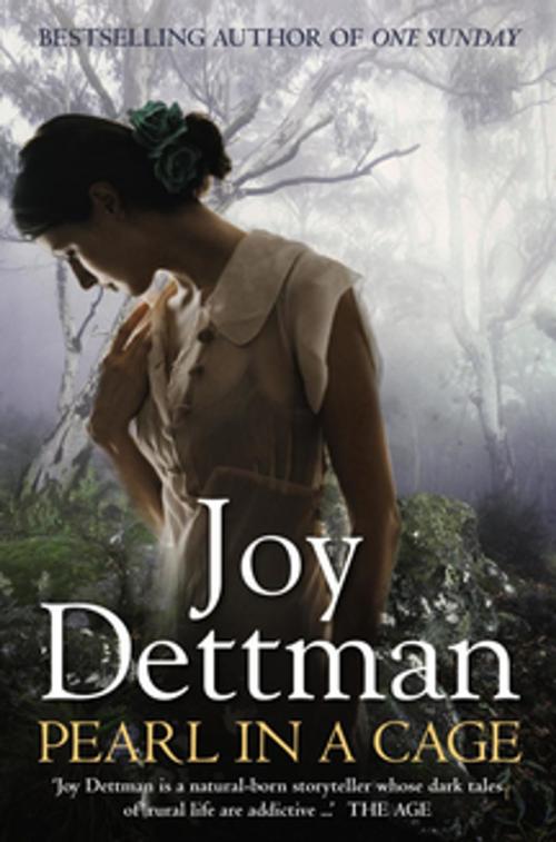 Cover of the book Pearl in a Cage: A Woody Creek Novel 1 by Joy Dettman, Pan Macmillan Australia