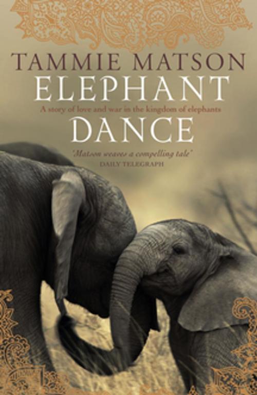 Cover of the book Elephant Dance by Tammie Matson, Pan Macmillan Australia