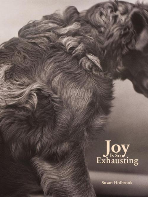 Cover of the book Joy Is So Exhausting by Susan Holbrook, Coach House Books