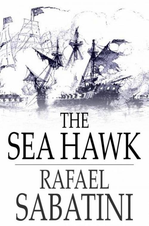 Cover of the book The Sea Hawk by Rafael Sabatini, The Floating Press